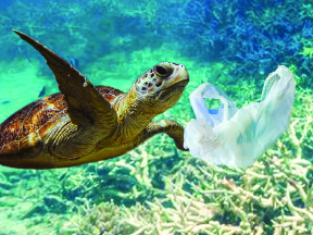 Turtle Plastic Bag